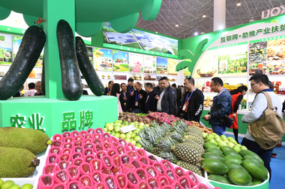 海口特色扶貧農產品閃耀冬交會，助力鄉村振興