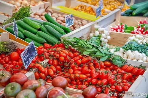 農產品B2B電商 顛覆傳統模式，開啟未來新篇章