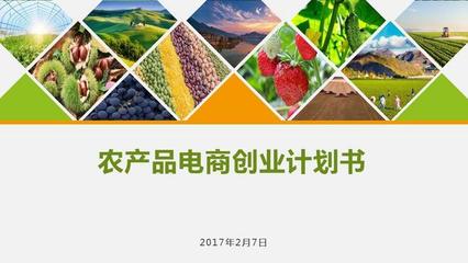 農產品電商創業計劃書 構建數字化生態，賦能現代農業新未來